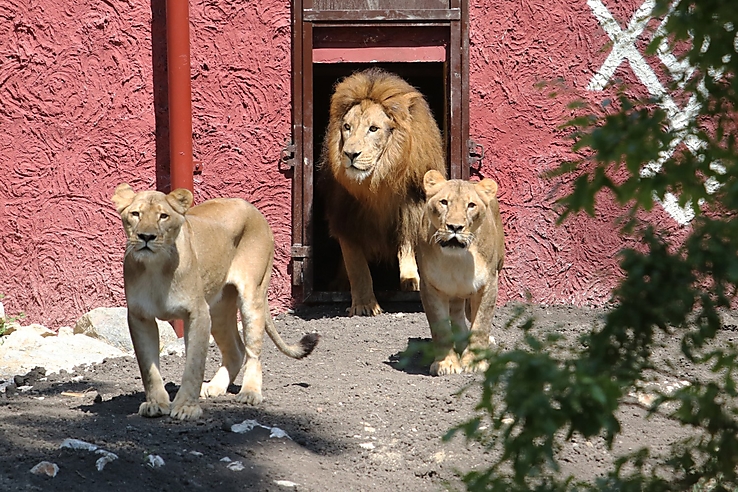 afrika haz szahel nap