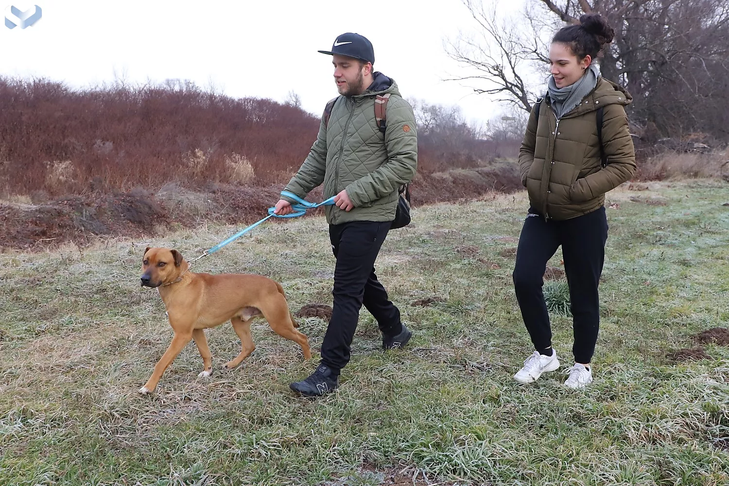 állategészségügyitelep