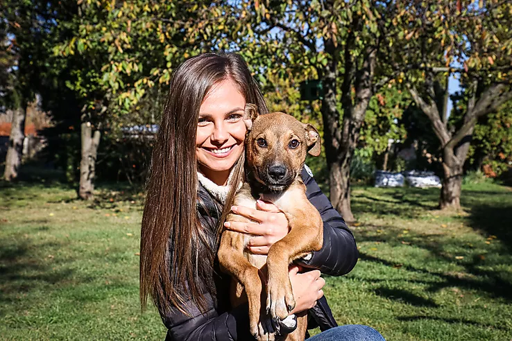 mikom állat eütelep