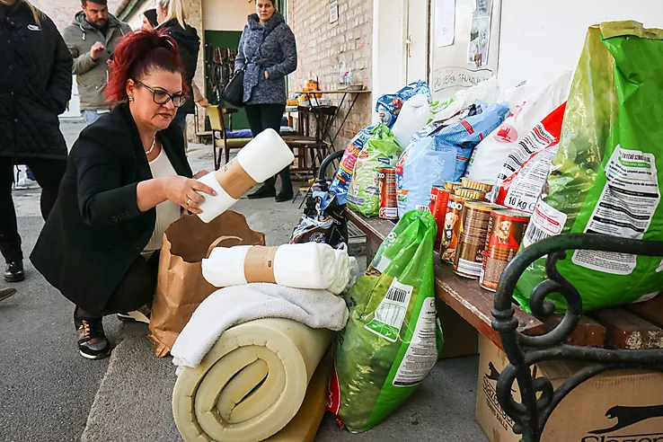 mikom állat eütelep