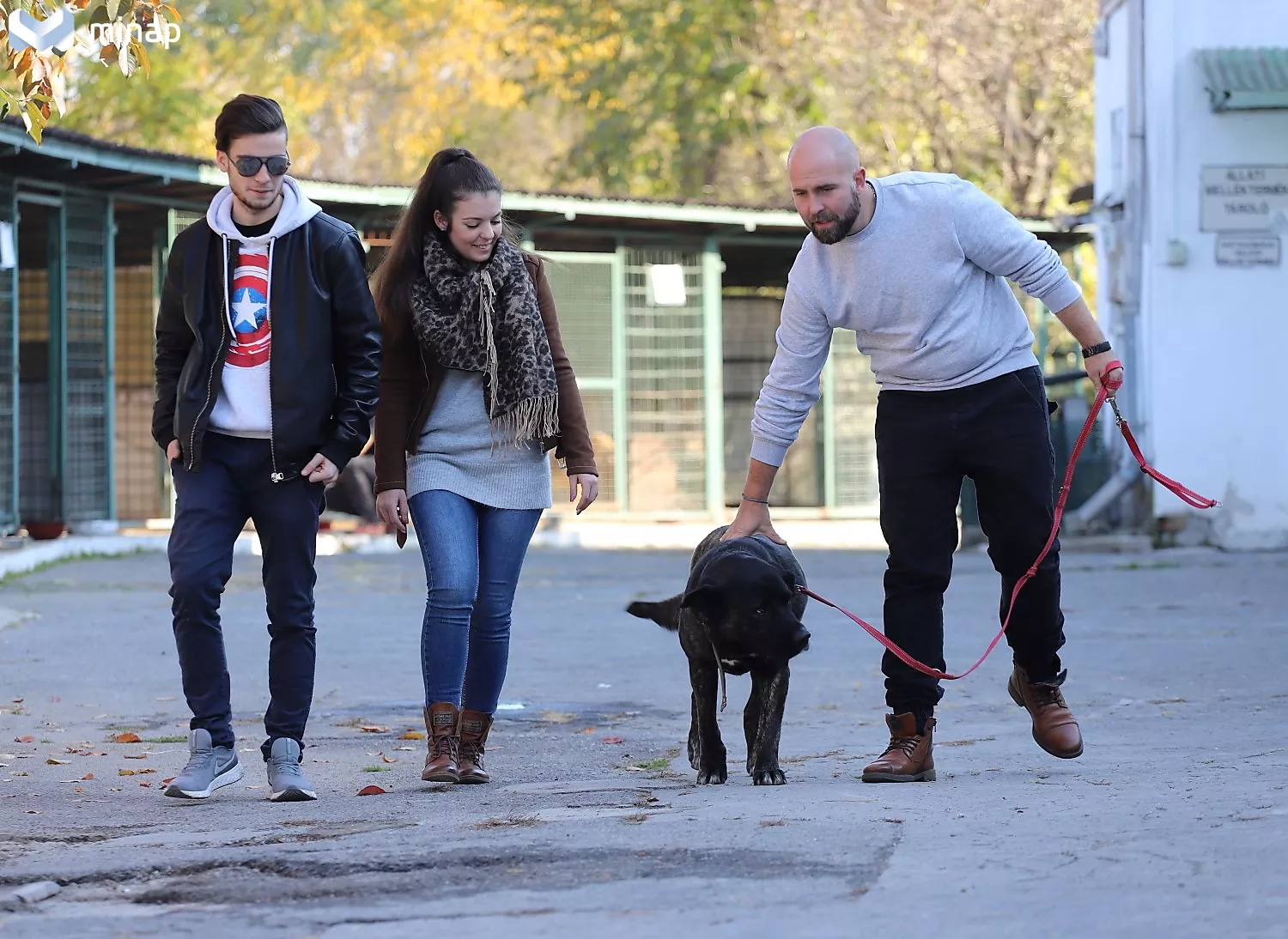Nyílt nap az Állategészségügyi Telepen