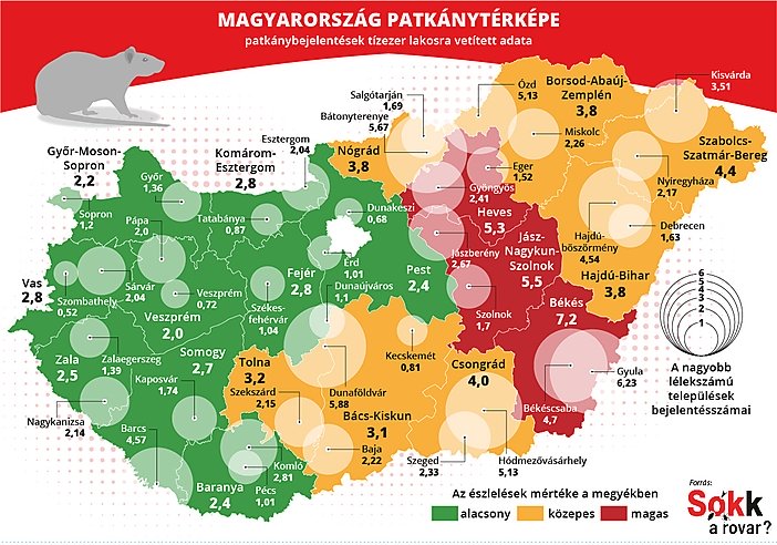 patkánytérkép