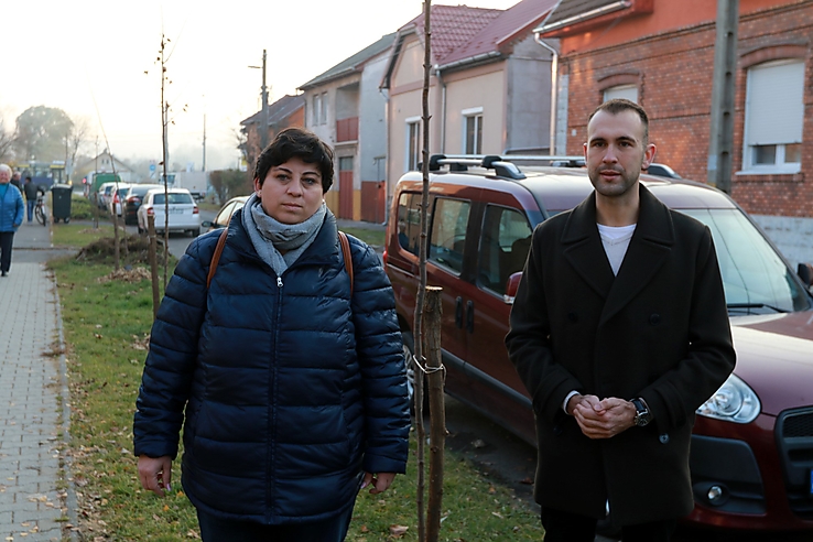 tátra torontáli fasor