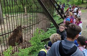 Változnak a jegyárak a miskolci állatkertben