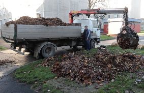 Őszi lombgyűjtést végeznek a városban
