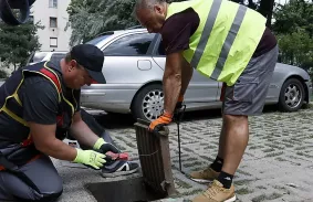 TAVASZI RÁGCSÁLÓIRTÁS MISKOLCON