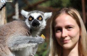 SZÍNES PROGRAMOKKAL ÜNNEPELTÉK AZ ÁLLATOK VILÁGNAPJÁT A MISKOLCI ÁLLATKERTBEN