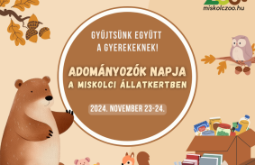 adomány