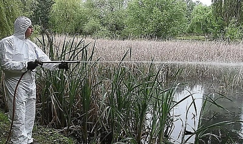 Újra szükségessé vált a szúnyoglárva irtása