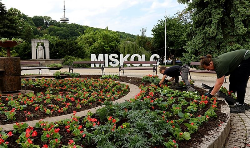 Színes virágok díszítik a köztereket