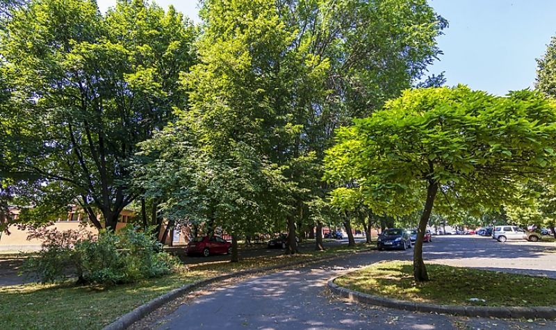 Július végén indulhat a Kilián-déli egészségház építése