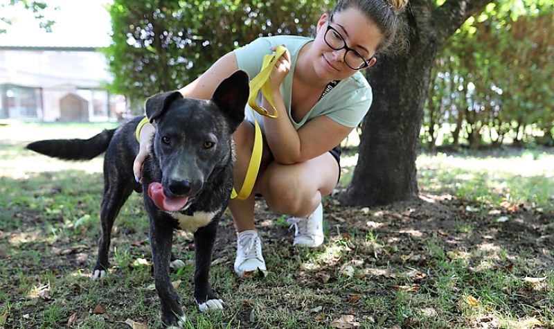 Nyílt napot tartottak az Állategészségügyi Telepen