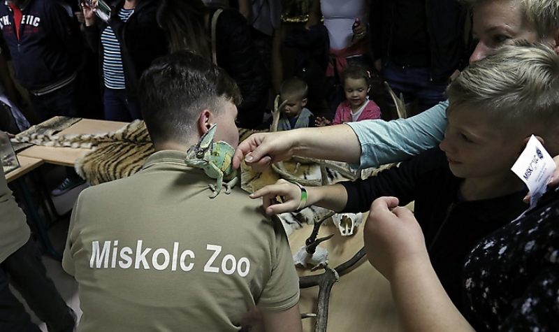 10. ÉjszakáZOO augusztus 27-én