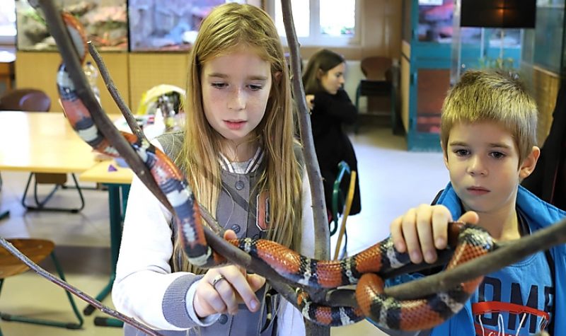Halloweent tartottak az állatoknál is