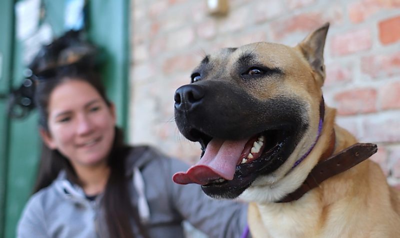 Megható egymásra találások a százötvenedik nyílt napon