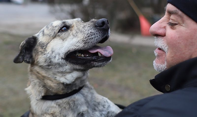 Az év első nyílt napját tartották az Állategészségügyi Telepen