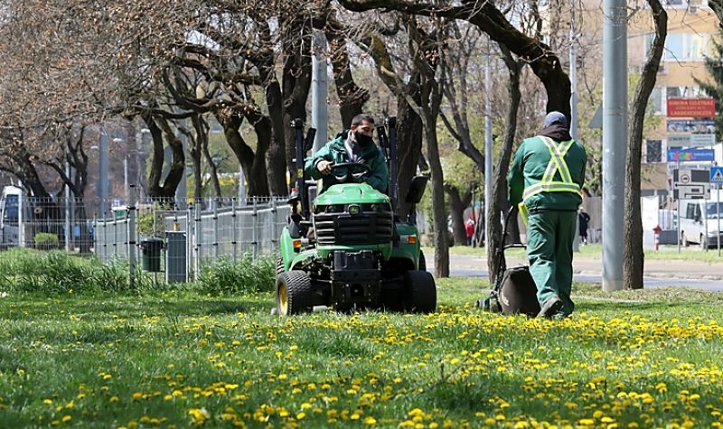 Hétfőn elkezdődik a fűnyírás a városban 