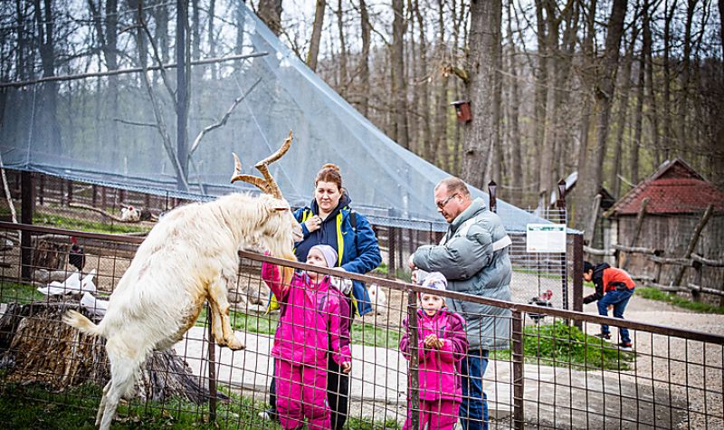 AZ ÁLLATKERT IS MEGÜNNEPLI A FÖLD NAPJÁT