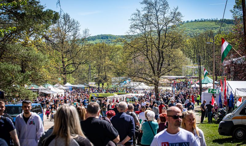 MÁJUS 1. - NOSZTALGIÁZÁS ÉS ÚJ ÉLMÉNYEK GYŰJTÉSE A MAJÁLIS PARKBAN