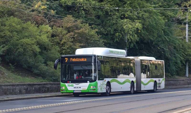 Autóbuszvezető toborzás, tanfolyam