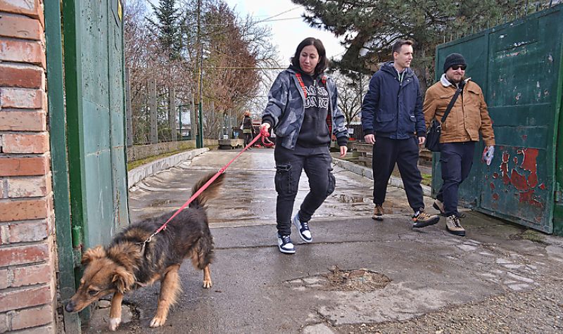 Nyílt nap az Állategészségügyi Telepen